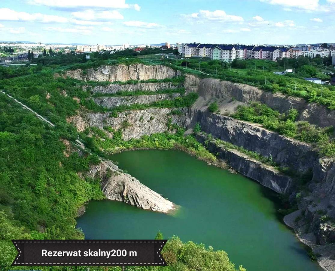 Black Rose Apartament Targi 3 Km, F-Ry Vat Kielce Extérieur photo